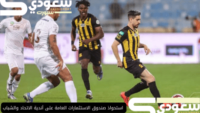 استحواذ صندوق الاستثمارات العامة على أندية الاتحاد والشباب